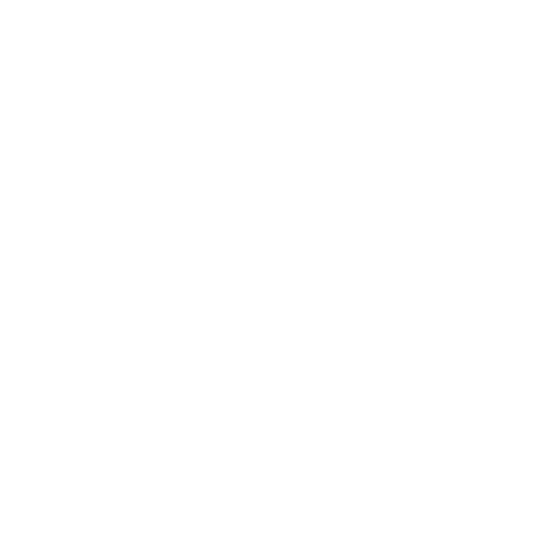 Volunteer Driver