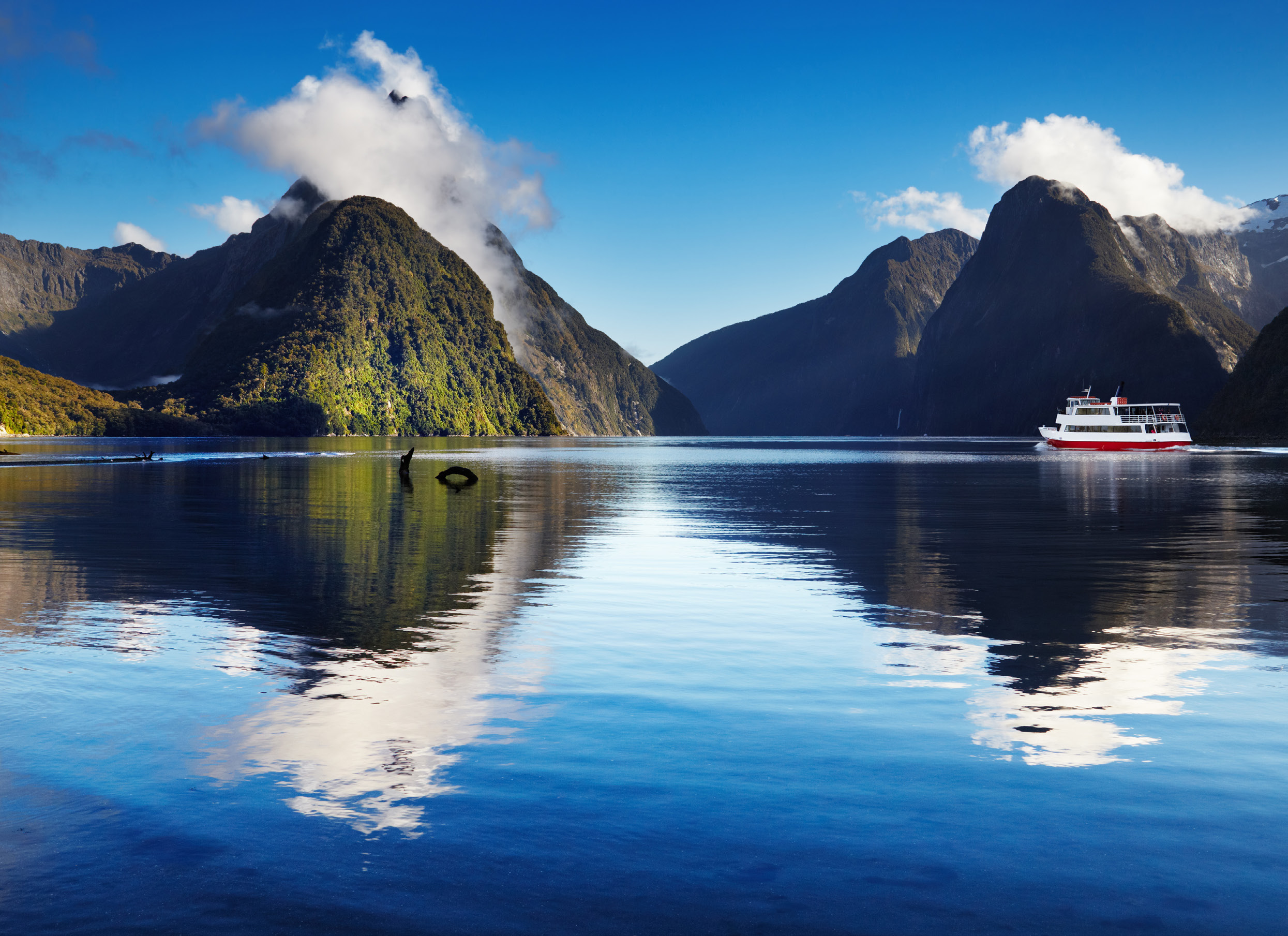 Cruise boat beneath the mountains of Milford Sound, Fiordland, New Zealand
